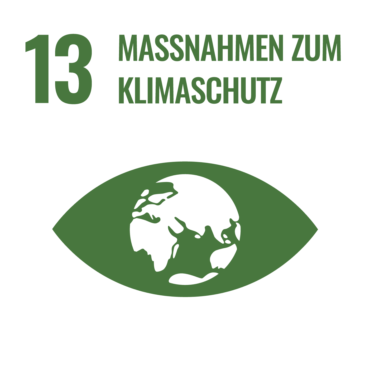 SDG 13
