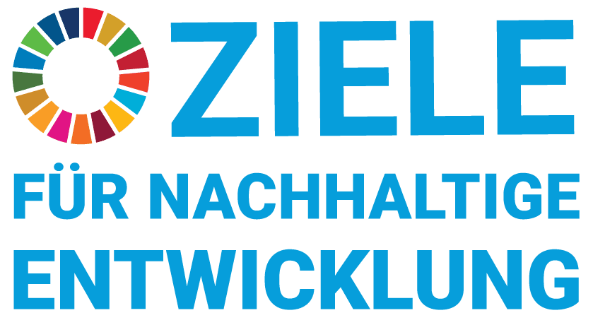 SDG Logo